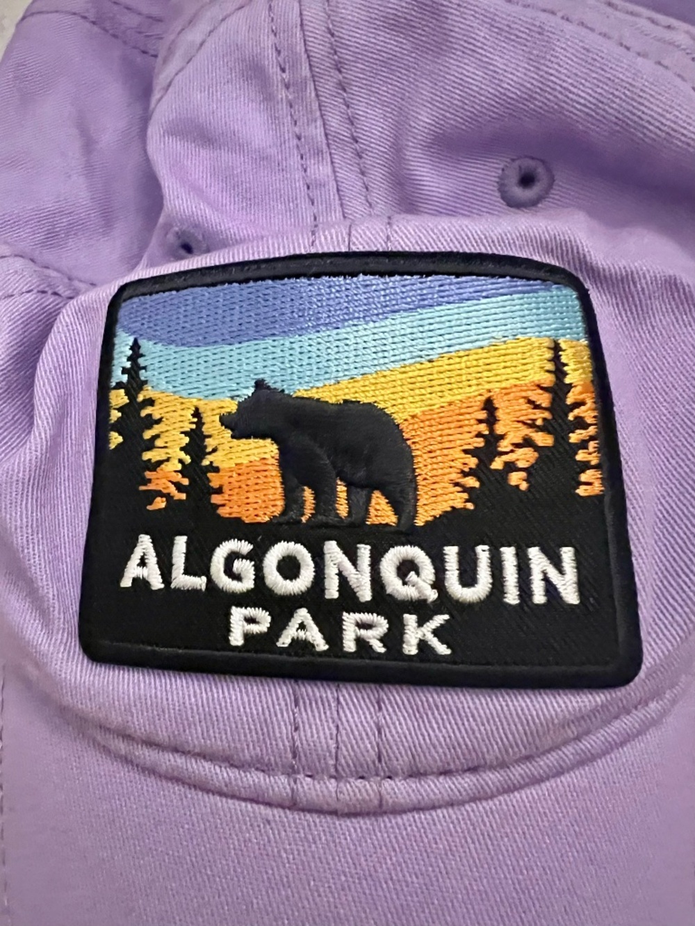 Algonquin Park Adjustable Baseball  Hat